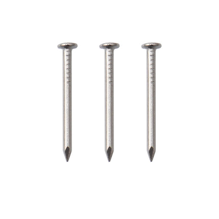 JEGONFRI 900PCS 3/4" Nickel Flat Head Nails for Hanging Pictures & Woodwork