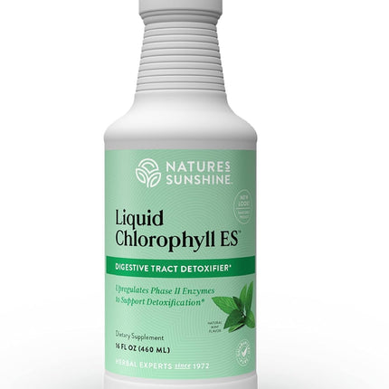 Nature's Sunshine Liquid Chlorophyll Extra Strength - Immunity Support, Detox & Cleanse, Chlorophyll Liquid Drops with Spearmint Oil, Natural Energy Boost, Internal Deodorant - 16 Fl Oz