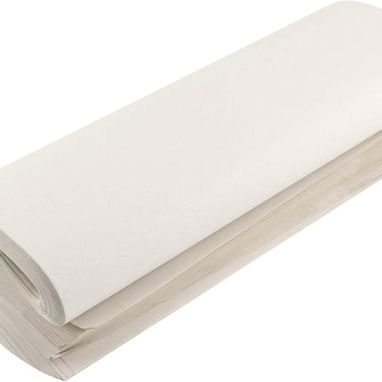 Newsprint Packing Paper Sheets for Moving, Shipping, Box Filler, Wrapping and Protecting Fragile Items 1.3 Lbs (50 Sheets, 26” x 15”)