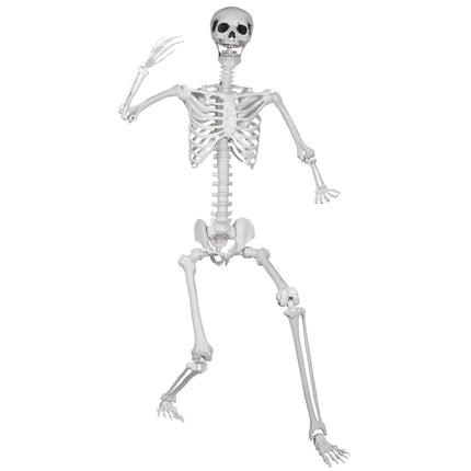 LaLamona 5.9ft/180cm Posable Halloween Skeleton, Life Size Skeleton Bones with Movable Joints for Halloween Graveyard Haunted House Spooky Scene Decor, 1pc