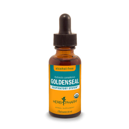 Herb Pharm Certified Organic Goldenseal Liquid Extract for Respiratory System Support, Alcohol-Free Glycerite, 1 Ounce