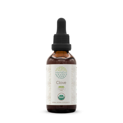 HerbEra Clove USDA Organic Tincture | Alcohol-Free Extract, Herbal Drops, Immune System Health | Certified Organic Clove (Syzygium Aromaticum) Dried Flower Buds (2 fl oz)