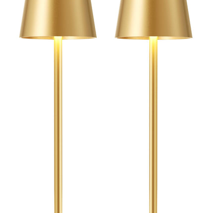 Gold Cordless Rechargeable Table Lamp, 2 Pack Portable Desk Lamp with 5000mAh Battery, Touch Control Stepless Dimming, Wireless Night Light for Dining, Outdoor Camping, Coffee Shop, Water Repellent