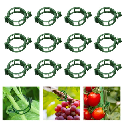100pcs Plant Support Clips, Plastic Clips for Climbing Plants (100, Green)