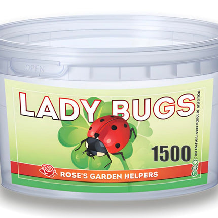 1500 Live Ladybugs - Hippodamia Convergens - Guaranteed Live Deliver - Plastic Container for Moth (1500)