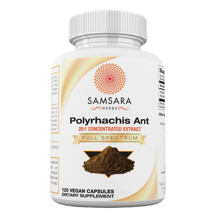 Samsara Herbs Polyrhachis Black Ant Extract - (120 Capsules)