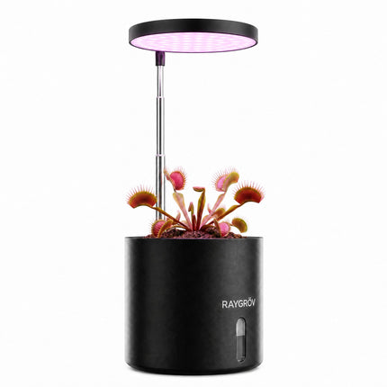 Raygrov Self-Watering Planter with Grow Light, Smart Indoor Pot for Venus Fly Trap, Carnivorous Plants, African Violet, Cat Grass, Catnip & Herbs, 2-in-1 Wall + Desktop, USB 5W Full Spectrum LED