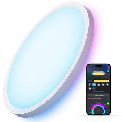 Govee Smart Ceiling Light, RGBIC LED Ceiling Light Fixture, 2400LM Flush Mount Light Fixture, DIY Colors, Works with Alexa, 2700K-6500K Lights for Bedroom, Living Room,12 Inch, 1 Pack (White)
