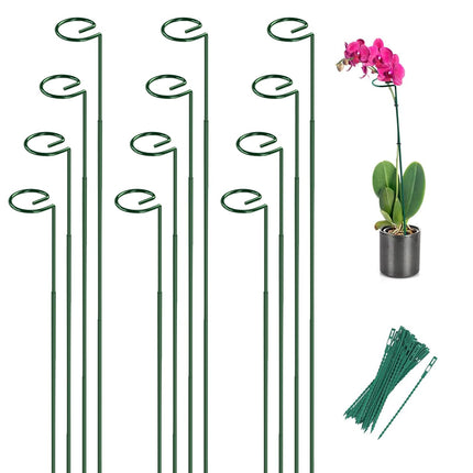 12 Pack 36 Inch Plant Support Stakes for Outdoor Plants and Indoor Flowers