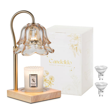 Candeldo Candle Warmer Lamp with Timer, Gold Flower Glass Shade