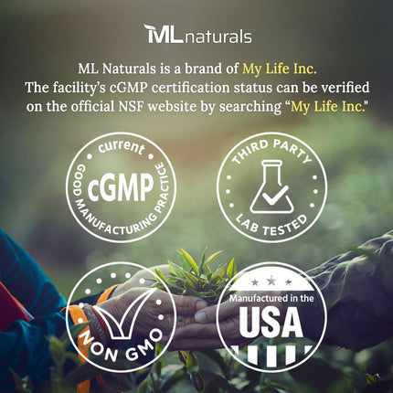 ML Naturals Phosphatidyl Serine 200mg (Per Serving) – 240 Vegetable Capsules – Non-GMO – Supports Memory & Brain Function