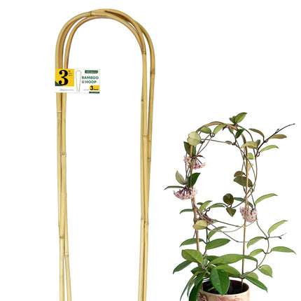 Jollybower Natural U-Hoops Bamboo Plants Trellis 3Ft, Garden Trellis U-Shape for Climbing Plants, Garden Arch Trelli Support for Potted Plants, Vines, Ivy Climbing Plants, Flowers-3 Pack