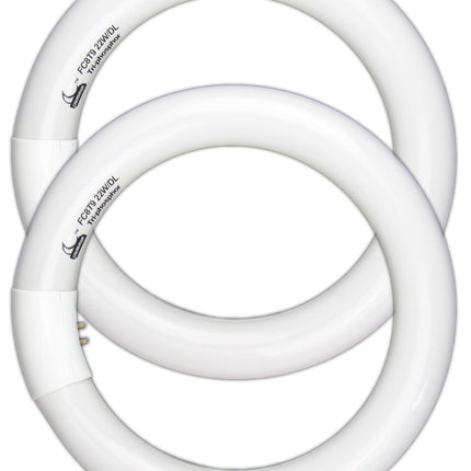 CHKADAWA Circular Bulb FC8T9/DL, 8 Inch T9 22W Circline Fluorescent Light Bulbs, Replacement Round Fluorescent Lamp Tube, Bright Daylight 6400K 1250 Lumens, G10q 4 Pin Base, 2 Pack