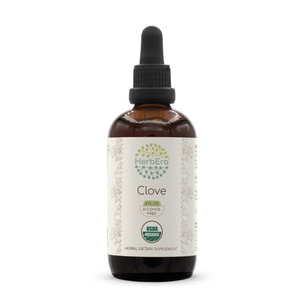 HerbEra Clove USDA Organic Tincture | Alcohol-Free Extract, Herbal Drops | Certified Organic Clove (Syzygium Aromaticum) Dried Flower Buds (4 fl oz)