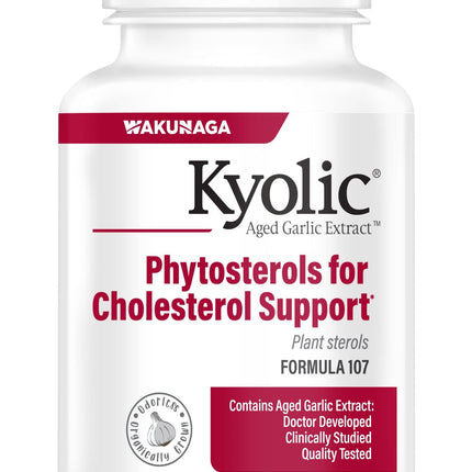 Kyolic Aged Garlic Extract Formula 107, 80 Capsules