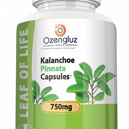 Kalanchoe Pinnata-Leaf of Life (Bryophyllum Pinnatum) 60 Cápsulas De 750mg Bottle.