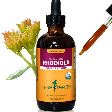Herb Pharm Certified Organic Rhodiola Root Extract Drops for Energy, Endurance and Stamina, Alcohol-Free Glycerite, 4 Oz
