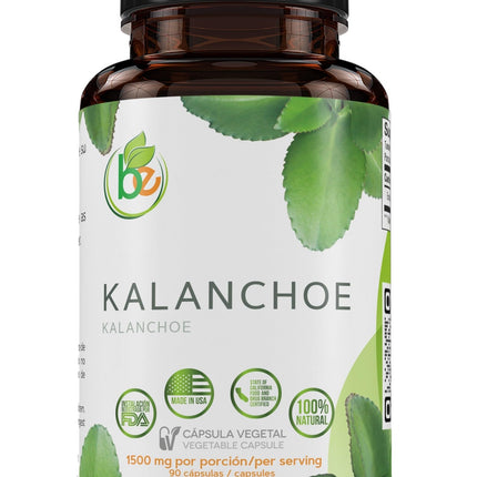 Kalanchoe Pinnata Forte(Leaf of Life) 90 Capsules (1500 mg per Serving)Bryophyllum Pinnatum – 100% Natural,Vegan,Non-GMO, Herbal Dietary Supplement for Antioxidant & Wellness Support – by BexpertsUSA