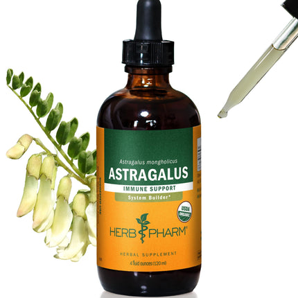 Herb Pharm Certified Organic Astragalus Liquid Extract Drops for Immune System Support, 4 Oz