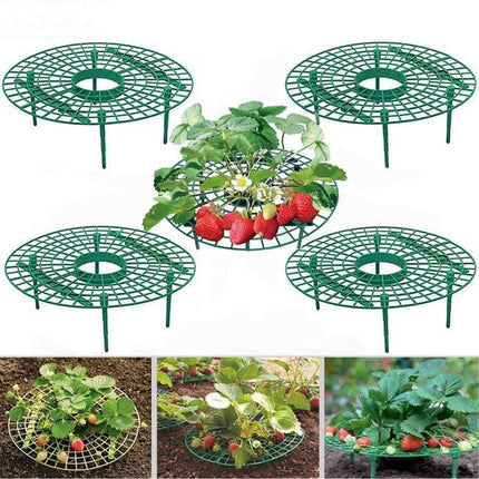 10 Pack Strawberry Supports Keeping Fruit Elevated & Balcony Planting Rack Fruit Support Plant Flower Climbing Vine Pillar Gardening Stand