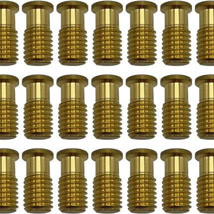 Poolzilla 25 Pack Pool Safety Cover Threaded Brass Insert Screw Bolt for Anchor