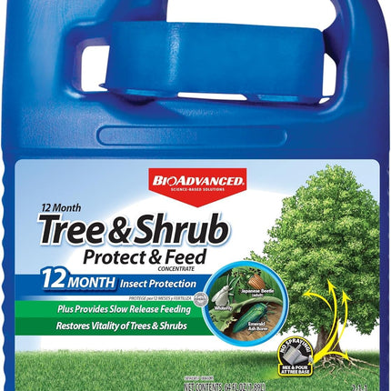 BioAdvanced 12 Month Tree and Shrub Protect and Feed Concentrate, 64 oz, Insect Killer, Tree Fertilizer & Plant Food