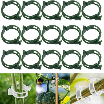 50 PCS Secured Plastic Plant Clip, Plant Support Clips, Garden Clips for Climbing Plants, Plastic Trellis Clips Plant Support Clips Tomato Grape Vine Vegetables Plant Fixing Clips (50, Green)