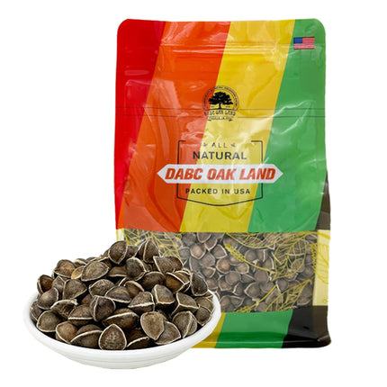 Premium Moringa Seed, Moringa Oleifera, Malunggay, Drumstick Tree Seeds from India Planting 100% Natural, Superfood, Nutritional, Rich in Vitamins Edible Seeds 8OZ/Bag
