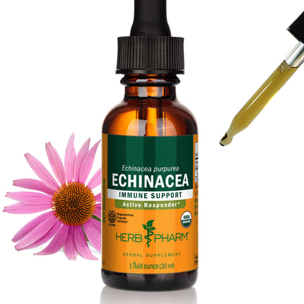 Herb Pharm Certified Organic Echinacea Root Liquid Extract for Immune System Support, Organic Cane Alcohol, 1 Fl Oz - Packaging May Vary