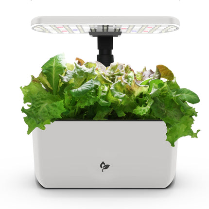 AeroGarden Harvest Lite, Cream