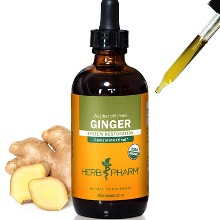 Herb Pharm Ginger Liquid Extract: Organic Supplement for Digestion, Occasional Nausea Support, Fast-Absorbing Ginger Liquid, Sugar-Free Organic Digestive Support Tincture, Up to ~12 Week Supply, 4 oz*