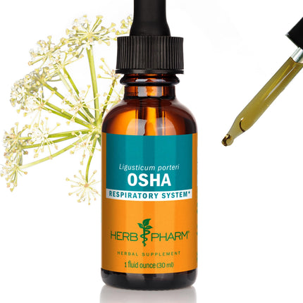 Herb Pharm OSHA Root Liquid Extract Drops for Respiratory Support, 1 Oz