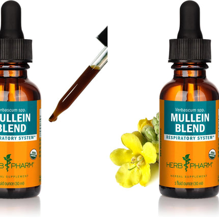 Herb Pharm Certified Organic Mullein Blend Liquid Extract for Respiratory System Support - 1 Ounce (Pack of 2)