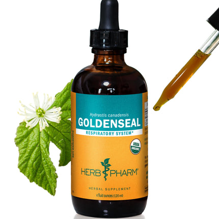 Herb Pharm Certified Organic Goldenseal Liquid Extract for Respiratory System Support, 4 Oz*