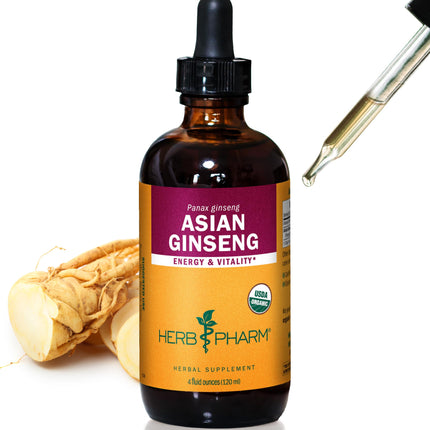 Herb Pharm Asian Ginseng Liquid Extract: Organic Herbal Energizer, Sharp Focus, Adaptogen for Life’s Daily Stress, Fast-Absorbing & Sugar-Free Panax Ginseng Root Tincture, Up to ~12 Week Supply, 4 oz*