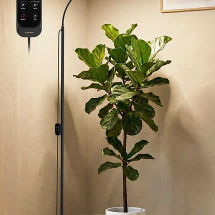 24W Grow Lights for Indoor Plants, Full Spectrum LED Plant Light With Stand