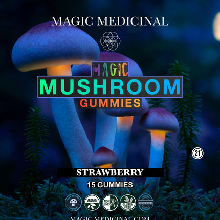 Halls of Amenti Ascension Brain Magic Medicinal Mushroom Gummies