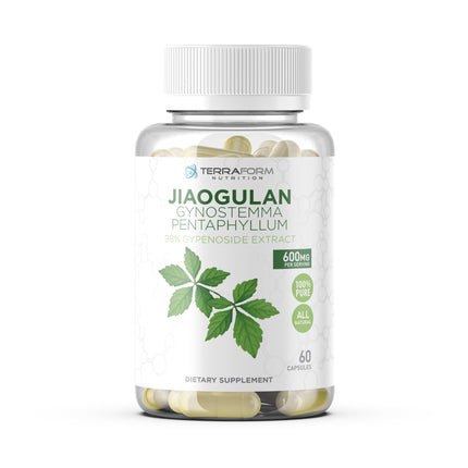 TerraForm Nutrition Gynostemma Pentaphyllum Supplement - 600mg per Capsule - 98% Gypenoside Extract - Jiaogulan - 60 Capsules - Adaptogenic Herbal Supplement
