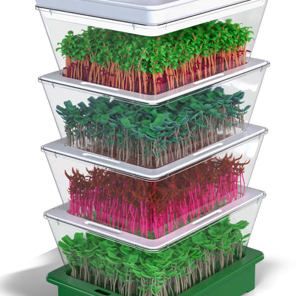 ZESTIGREENS 4-Tier Sprouting Kit - Stackable Seed Sprouter Trays with Drain Spout - Grow Fresh Sprouts at Home - BPA-Free