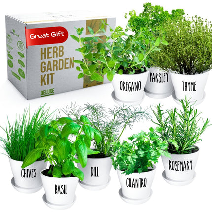 Deluxe Indoor & Outdoor Herb Garden Kit – 8 or the Most Popular Culinary Herbs with Pots & Soil for Windowsill or Patio Growing