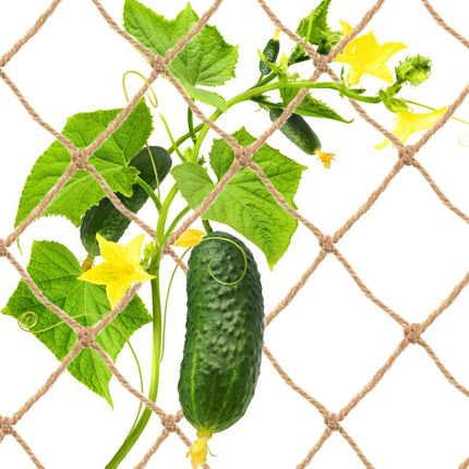 Jute Trellis Netting for Climbing Plants, Heavy Duty Jute Plant Support Net Natural Jute Hemp Rope Net with 5.9 inch Mesh for Climbing Vine Vegetables Cucumber, Tomatoes, Peas (6.5 * 16.5 FT)