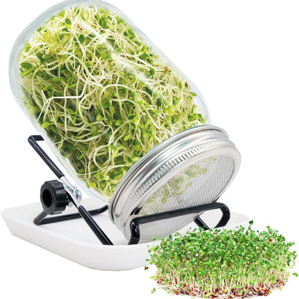 Sprouting Jar, Sprouts Growing kit, Mason Jar for Bean Sprouts Grow, Seed Sprouter Set for Growing Alfalfa, Mung Bea