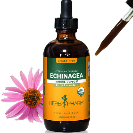 Herb Pharm Echinacea Alcohol-Free Extract: Immune System Support for All Seasons | Fast-Absorbing Echinacea Root Organic Supplement | Non-GMO, Vegan & Gluten-Free, Up to 12 Week Supply, 4 oz*