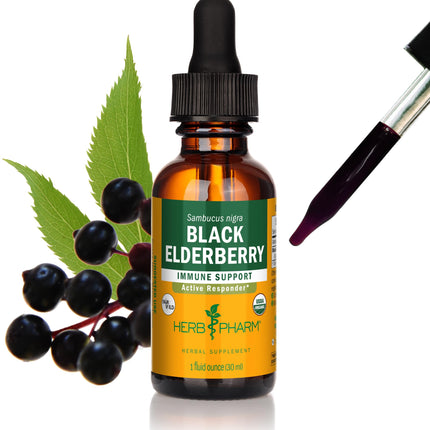 Herb Pharm Certified Organic Black Elderberry Liquid Extract Drops for Immune System Support, Organic Cane Alcohol, 1 Oz