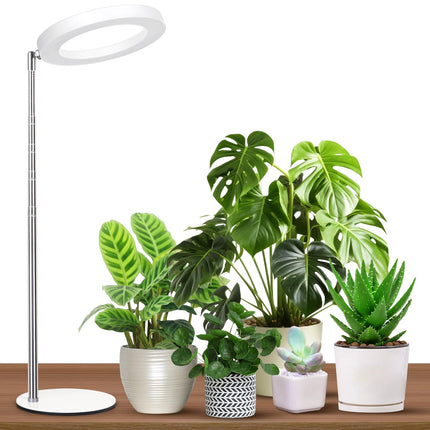 GTRUIIDY Desktop Grow Light, Full Spectrum Plant Light with Timer, Height Adjustable Halo Grow Lamp for Indoor Plants, 3 Lighting Modes for Seedlings & Succulents, White