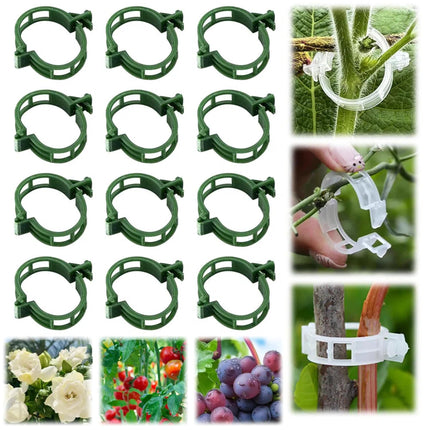 100Pcs 2025 Upgraded Plant Clip Secured Plastic Plant Clip for Climbing Plants, Plant Support Clips Tomato Clip for Climbing Plants Clips for Tomato Grape Vine Vegetables Plant Clips (100, Green)