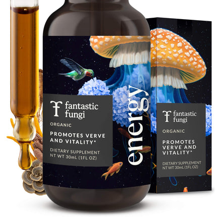 Fantastic Fungi Cordyceps Mushroom Tincture Drops with Turkey Tail, Ginseng & Rhodiola - 4-in-1 Stress Support & Energy Elixir - Organic Mushroom Extract Liquid, 30 Servings, 1 fl oz