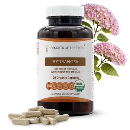 Secrets of the Tribe Hydrangea USDA Organic Capsules | Certified Organic Vegetarian Capsules, Herbal Dietary Supplement | Hydrangea arborescens Dried Root (120 Count)