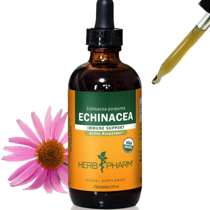 Herb Pharm Certified Organic Echinacea Root Liquid Extract for Immune System Support, Organic Cane Alcohol, 4 Fl Oz - Packaging May Vary