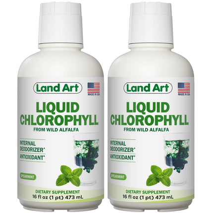 Land Art - Liquid Chlorophyll Mint – Cold-Extracted from Wild Non-GMO Alfalfa – Natural Clorofila Liquida – Antioxidant - Detox Supplement – Boost Energy – Alkalizing & Body Odor – 16 floz (Pack of 2)